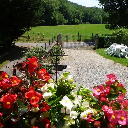 Gite Le Moulin Pres De Tarbes, Lourdes, Bagneres De Bigorre Mascaras Екстериор снимка